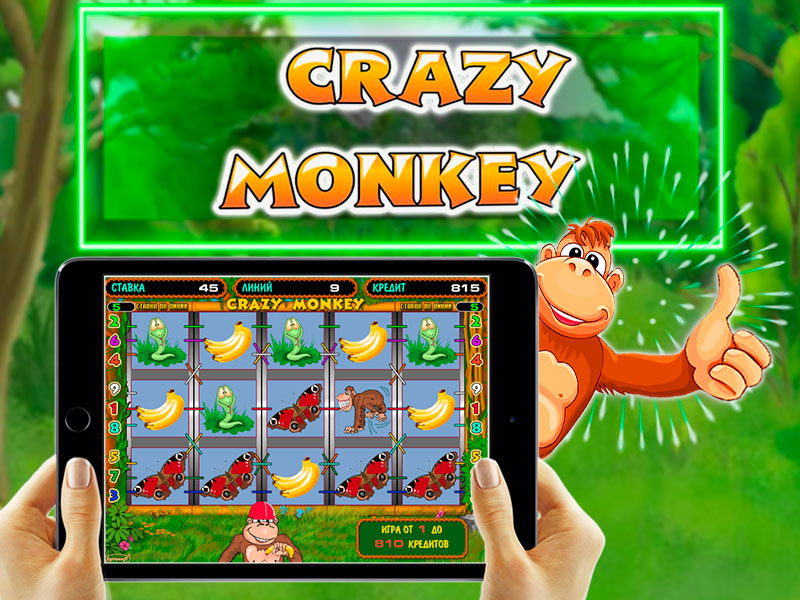игровые автоматы crazy monkey
